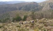 Trail Walking Graissessac - belle rando au dessus du village minier de graissessac - Photo 17