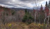 Randonnée Marche Lac-Matapédia - Les crêtes  - Photo 1