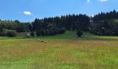 Trail Walking Nassogne - Marche ADEPS Nassogne - Photo 1