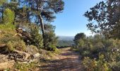 Trail Walking Caunes-Minervois - LaMatte_18/02/2023 - Photo 3