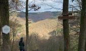 Trail Walking Bouillon - Corbion - pont de l’Epinet - Photo 1