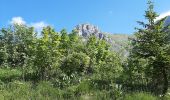 Trail Walking Le Grand-Bornand - BARGY: LE CHINAILLON - LAC DE LESSY - Photo 18