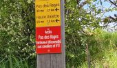 Tour Wandern Villard-de-Lans - Villard de Lans - Balcons et falaises de la Bourne - panorama  - Photo 6