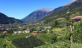 Percorso A piedi Tirolo - Weinweg - Photo 9