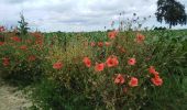 Tocht Stappen Dalhem - dalhem Bombaye aubin mortroux dalhem  - Photo 19