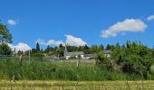 Tour Wandern Goesdorf - Goebelsmühle  - Photo 7