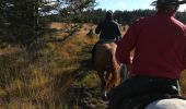 Trail Horseback riding Moussey - fady col de praye  - Photo 3