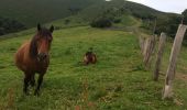 Tour Wandern Ainhoa - Ainhoa tour d’errebi par col des trois croix  - Photo 1