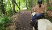 Tocht Paardrijden Falck - Falck - Forêt de la Houve - Photo 2