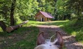 Percorso Equitazione Mollkirch - 2023-05-28 Picnic CVA Cabane des 5 routes - Photo 4