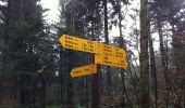 Trail On foot Rothrist - Rothrist - Vordemwald - Photo 1