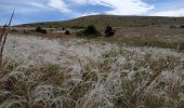 Tocht Stappen Fraissinet-de-Fourques - 48  sommet du Gargo 13/07/24 - Photo 4