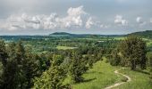 Tour Zu Fuß Bad Staffelstein - Terrainkurweg 6 Bad Staffelstein - Photo 4