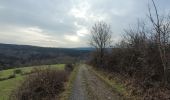 Randonnée Marche Manhay - rando deux rys 30-01-2024 - Photo 4