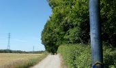 Tocht Stappen Court-Saint-Étienne - par le petit St. Jacques - Photo 2