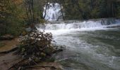 Tour Wandern Arbois - Arbois 22 oct 2019 CAF - Photo 14