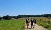 Tocht Stappen Aarlen - Arlon - MESA 2024  - Photo 8