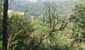 Trail Walking Vianden - annif Geert - Photo 3