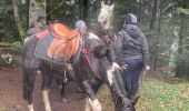 Percorso Equitazione Moyenmoutier - Christophe yoigo malfosse  - Photo 3