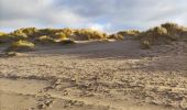 Trail Walking De Haan - Les dunes boisées - Photo 4