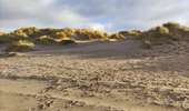 Tour Wandern De Haan - Les dunes boisées - Photo 4