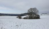 Tour Wandern Havelange - rando nettine 9/02/2021 - Photo 5