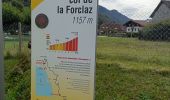 Trail Electric bike Doussard - col de Forclas tour du lac d Annecy  - Photo 1