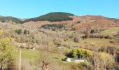 Excursión Senderismo Arrens-Marsous - Pointe de Surgate - Photo 4