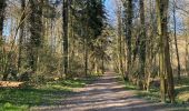 Tour Wandern Villers-la-Ville - Promenade des 4 chênes, àpd Berines - Photo 1