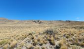 Tour Wandern Chile Chico - Circuito Piedra Clavada - Cueva de las Manos - Valle Lunar - Photo 3