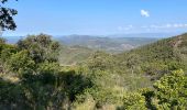 Trail Walking Fréjus - Depuis la Louve en boucle - Photo 5