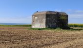 Trail Walking Audresselles - Cran le Noirda - Photo 3