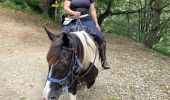 Trail Horseback riding Accous - Accous-Lescun-Lhers - Photo 16