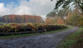 Tour Wandern Fosses-la-Ville - Vitrival 181022 - Photo 15