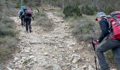 Randonnée Marche Pourcieux - Crêtes du Mont Aurélien - Photo 16