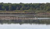 Tour Wandern Belval-en-Argonne - Les étangs de Bel Val 51 - Photo 2