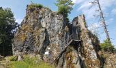 Randonnée Marche Bellefosse - Col de la Charbonnière - château de la Roche - Bellefosse - Belmont - Photo 10