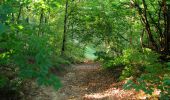 Trail Walking Choisy-au-Bac - en forêt de Laigue_9_06_2020_Chemin du Fau Bidaud et la Route de Royaumont - Photo 17