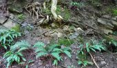 Trail Walking Comblain-au-Pont - poulseur . chanxhe . fays . monfort . poulseur - Photo 15