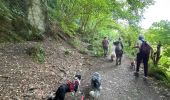 Trail Walking Hastière - Hastiere - Photo 11