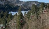 Trail Walking Stosswihr - La Schlucht Le Hohneck Le lac de La Lande Le Collet - Photo 5