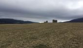 Randonnée Marche Saint-Agnan-en-Vercors - Boucle plateaux de Vassieux - Photo 1