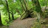 Trail Walking Bertrix - Auby sur Semois 070525 - Photo 17