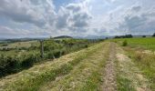 Tour Wandern Le Vernet-Sainte-Marguerite - Chemins du Vernet Sainte Margu - Photo 2