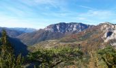 Randonnée Marche Châtillon-en-Diois - Montagne de Beaupuy - Nonnières - Photo 8