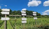 Tour Wandern La Hulpe - A la découverte de La Hulpe(totemus) - Photo 9