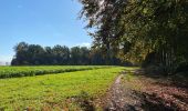 Randonnée Marche Genappe - Bois de Ways Ruart, à l’envers - Photo 2