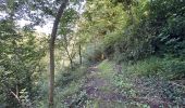 Trail Walking Honnelles - Fayt le Franc - Le Caillou qui bique 18km - Photo 11