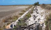 Tocht Stappen Saintes-Maries-de-la-Mer - Saintes Marie de la Mer 26 09 2019 - Photo 2