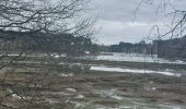 Trail Walking Vannes - PR_56_Vannes_BA_02_Les-Rives-De-Vannes_Circuit1b_20230203 - Photo 4
